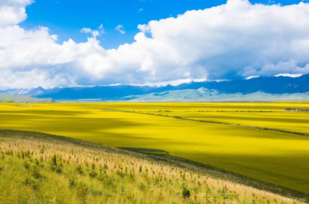 青海之旅，探寻自然美景，寻找内心平静