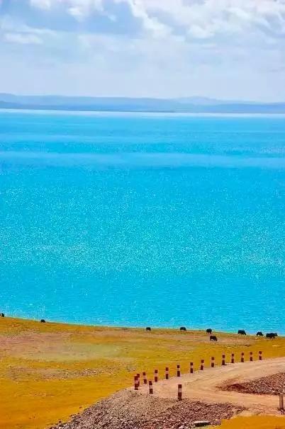 青海之旅,探寻自然美景,寻找内心平静